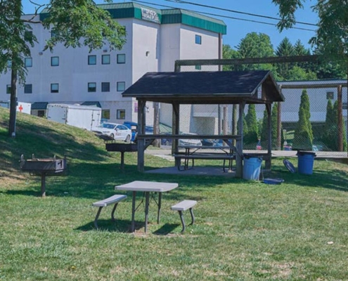 PineView Apartments Outdoor Picnic Detail